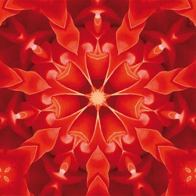 Paradieskarte "Rose"