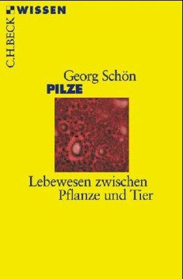 Pilze