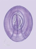 Planeteneurythmie - Mond (Postkarte)