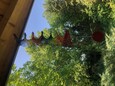 Regenbogen Spirale Windspiel aus Holz Regenbogen Spirale Windspiel aus Holz
