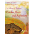 So schmeckt Rohkost! Cracker, Brote und Aufstriche