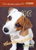 Süße Hundewelpen 2018
