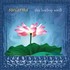 This Dewdrop World Audio CD