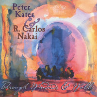 Through Windows and Walls Audio CD