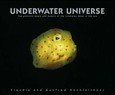 Underwater Universe Underwater Universe