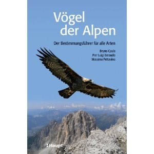 Vögel der Alpen