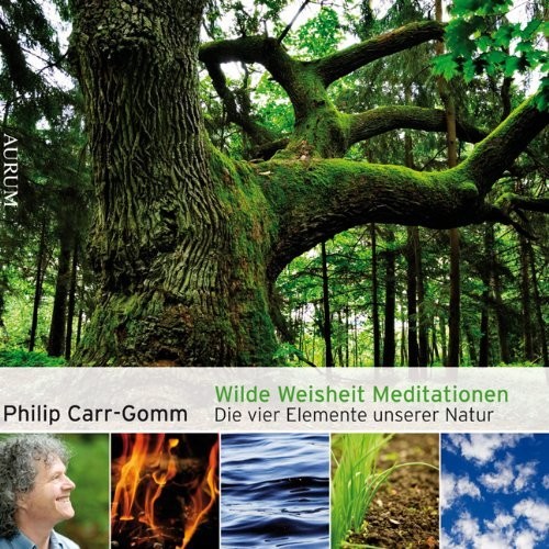 Wilde Weisheit Meditationen, 2 Audio-CDs