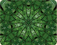 Yoga im Einklang mit dem Alltag - Nackenentspannung, Audio CD